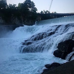 Meet your Posher, Pollyanna